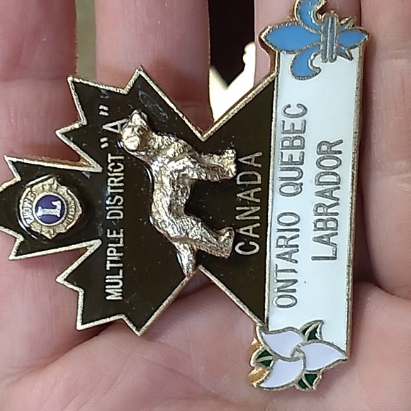 Rare Vintage Lions Club Pins, Dog, Deer, Loon, Voyager Canoe, Squirrel, Maple 🍁 - Picture 4 of 8